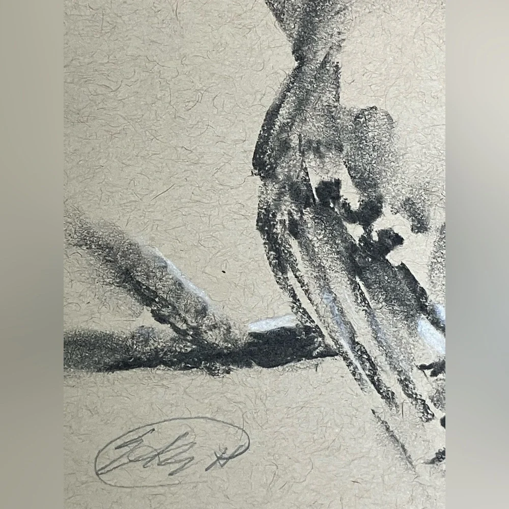 Original Jay bird art art charcoal pastel painting wall decor artwork Artettina - Picture 3 of 6